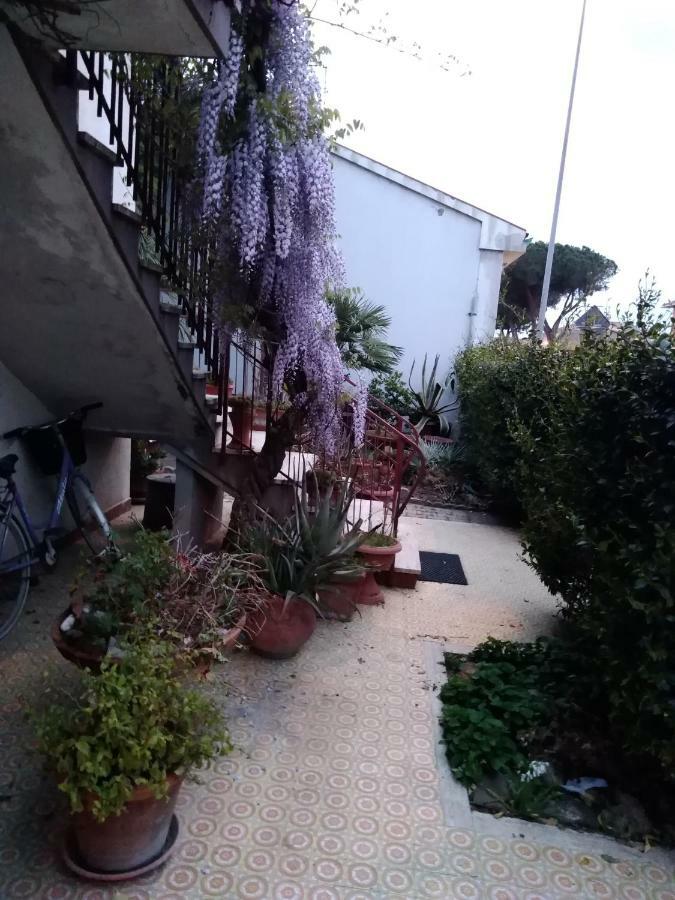 Villetta Stella Cecina  Exterior foto