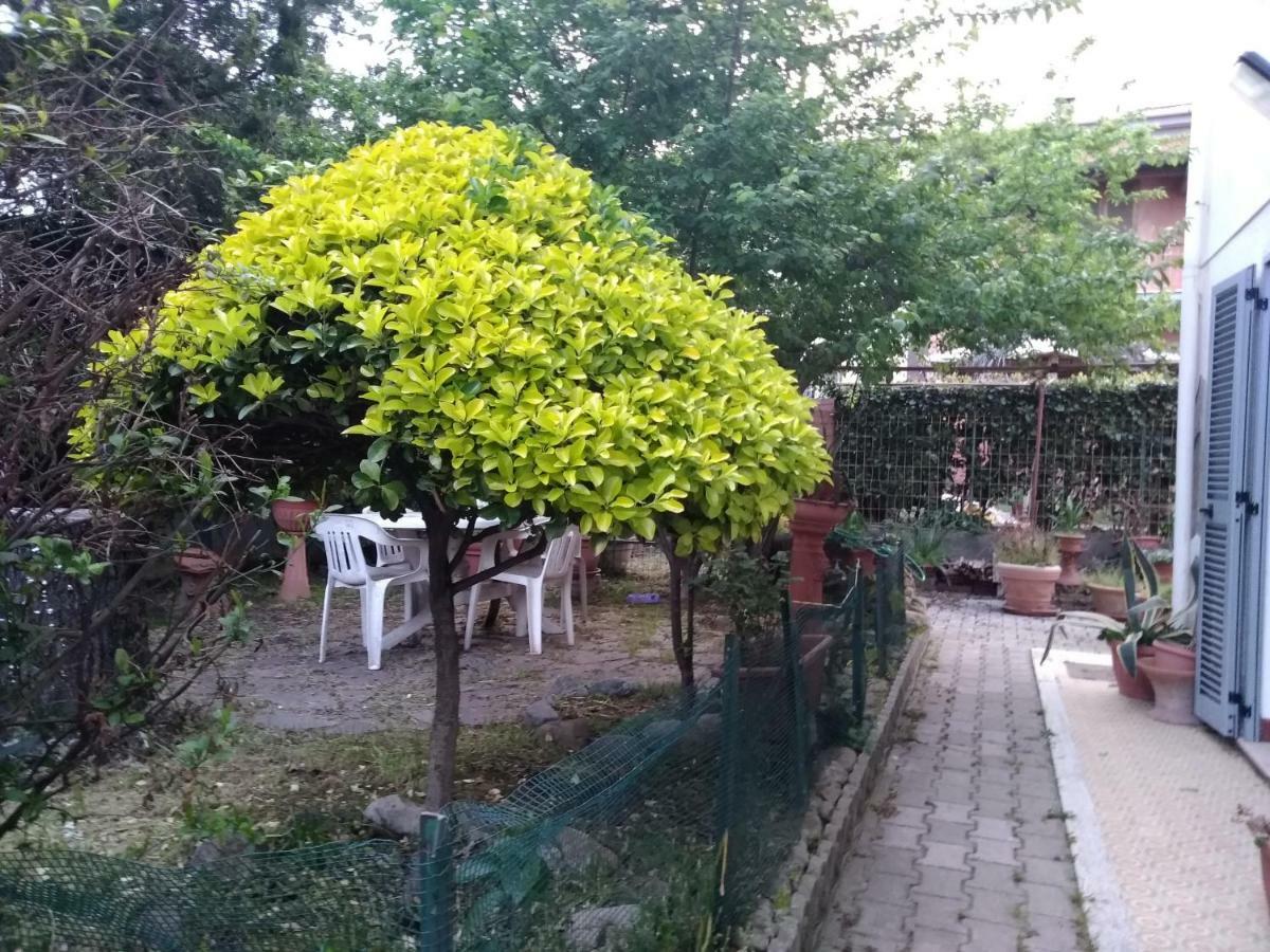 Villetta Stella Cecina  Exterior foto